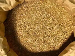 Gold dust supplier in Zambia